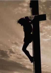 Tre Ore Service 2015