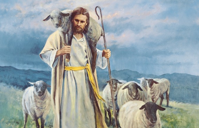 parsonchristshepherdlambslost1771345wallpaper